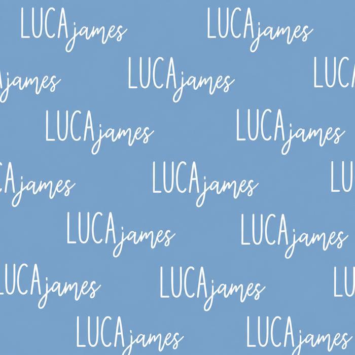 Personalized Toddler Minky Blanket