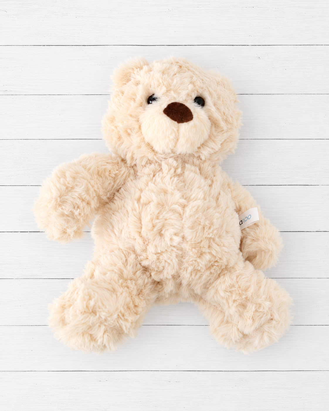 Marshmallow the Bear