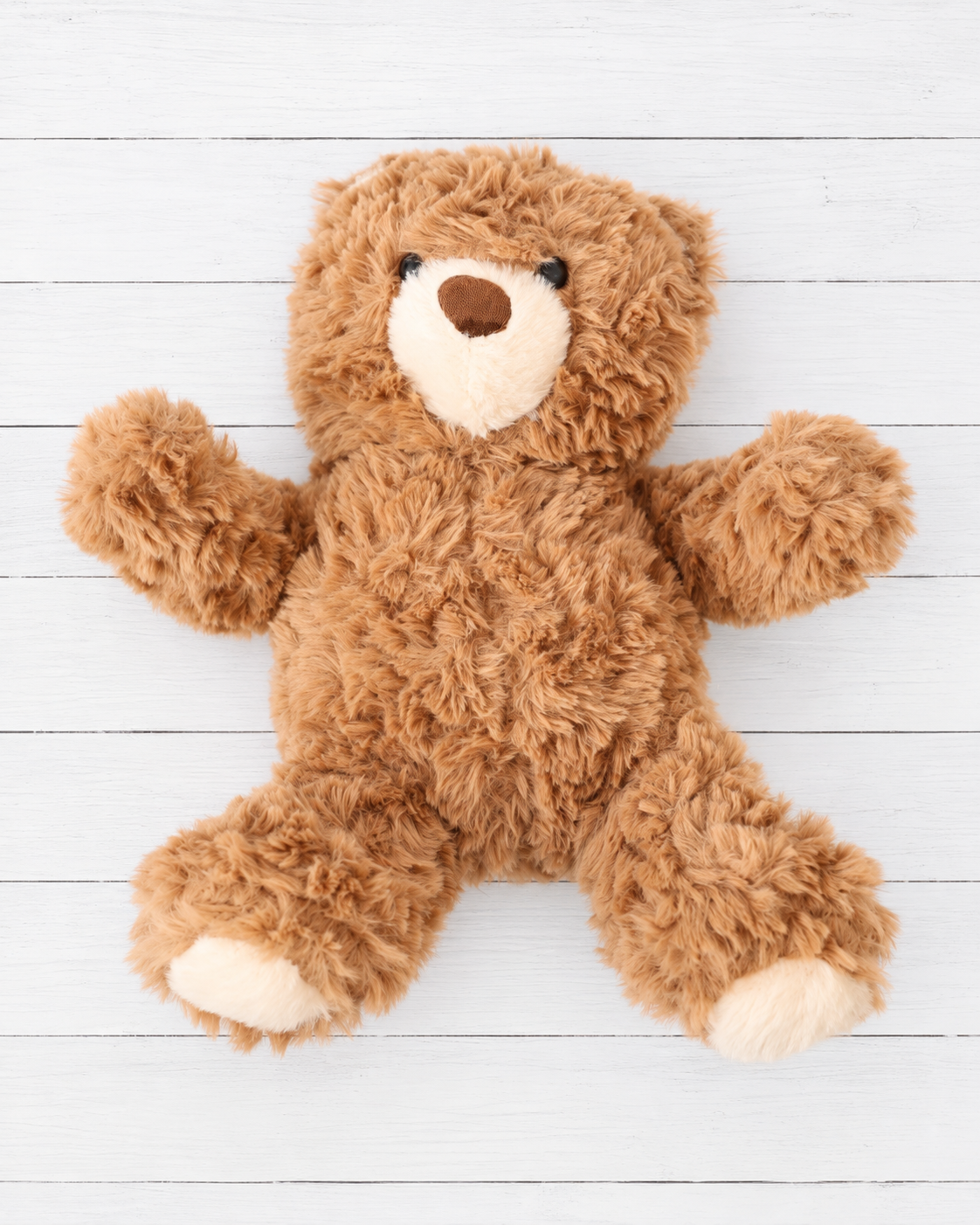 Cocoa the Bear