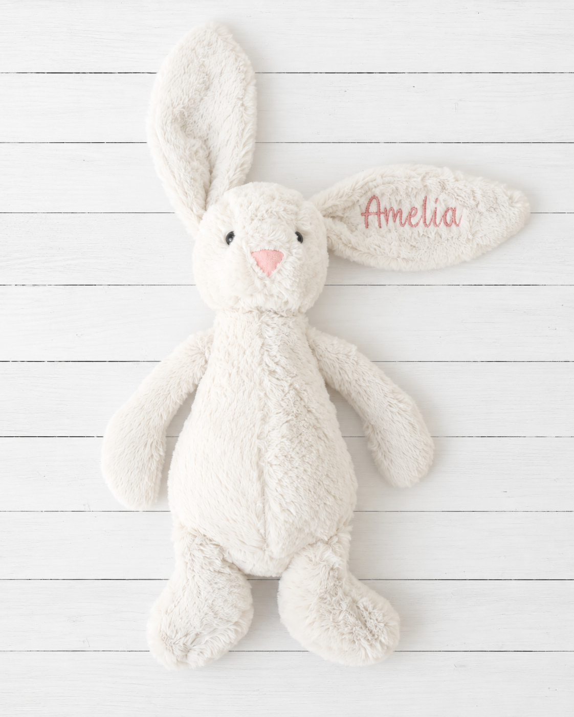 Biscuit the Bunny
