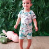 Dinomite Dreams Shortall