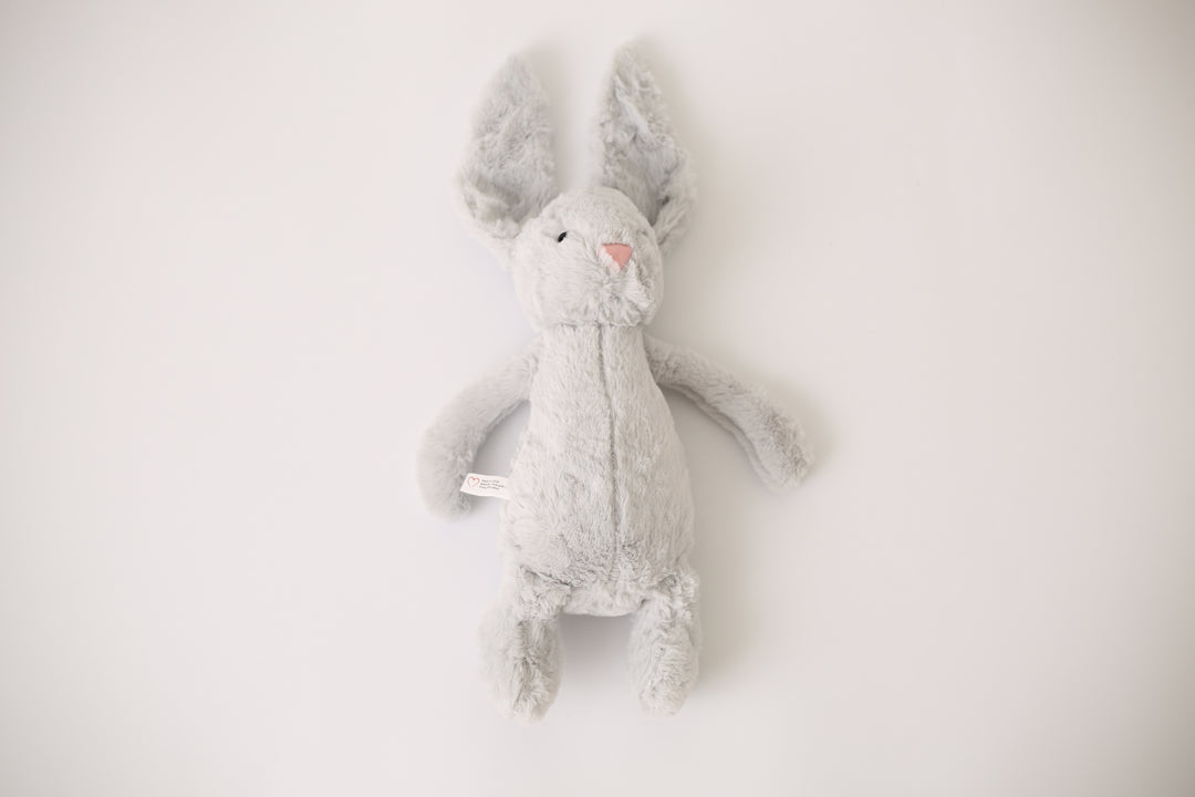 Cloud Soft Cuddle Buddies