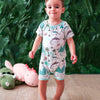 Bestaroo - Dinomite Dreams Shortall