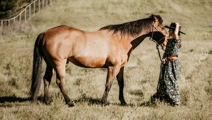 Bestaroo - Meera Lehenga - Navy