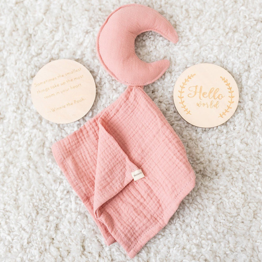 Bestaroo - Pink moon blankie