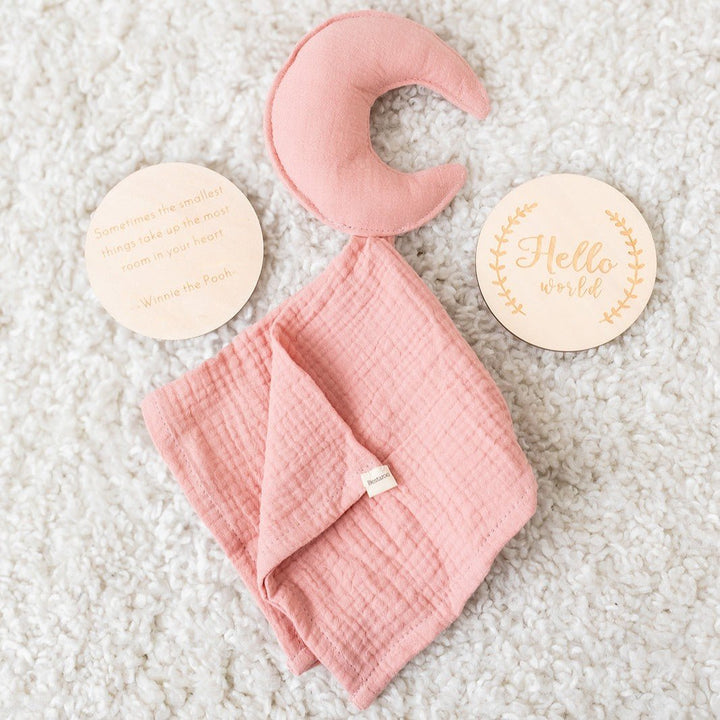 Bestaroo - Pink moon blankie