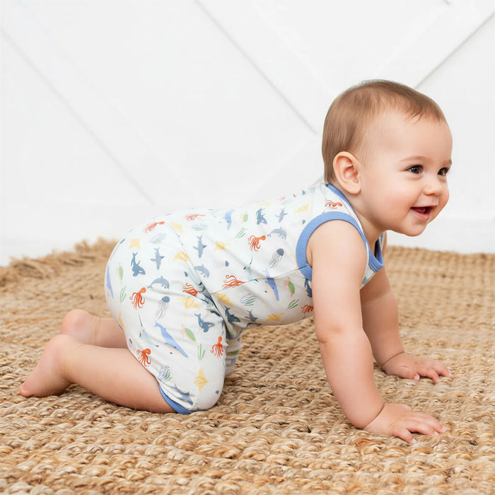 Sea Life Shortall